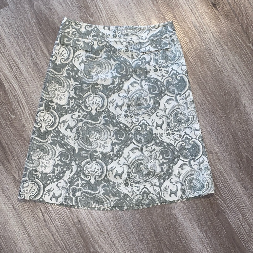 Express Design Studio Skirt